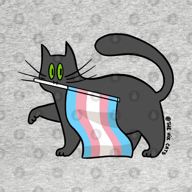 Transgender Pride by The Vix Cats